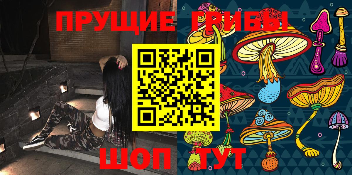 Галлюциногенные грибы мицелий Заволжье