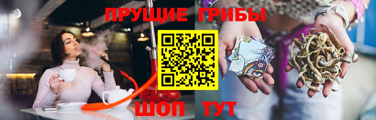 Галлюциногенные грибы Magic Shrooms  Вход с VPN  Заволжье  Галлюциногенные грибы прущие грибы 